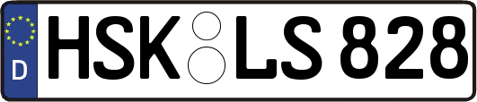 HSK-LS828