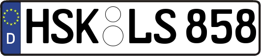 HSK-LS858