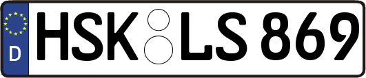 HSK-LS869