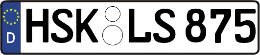 HSK-LS875