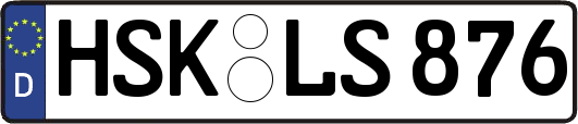 HSK-LS876