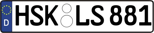 HSK-LS881