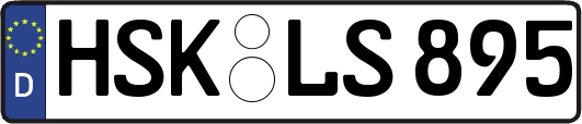 HSK-LS895