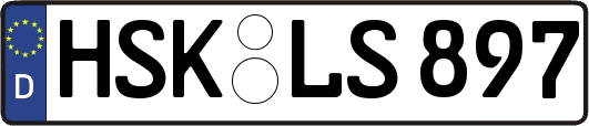 HSK-LS897