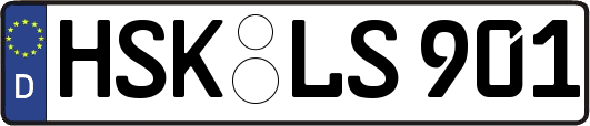 HSK-LS901