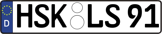 HSK-LS91