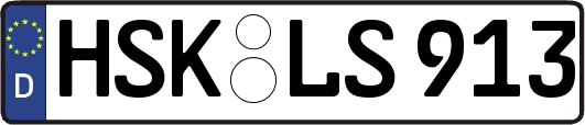 HSK-LS913
