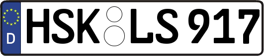 HSK-LS917