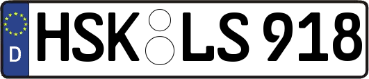 HSK-LS918