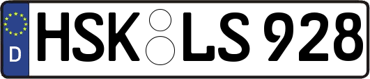 HSK-LS928