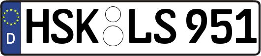 HSK-LS951