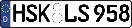 HSK-LS958