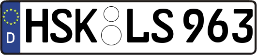 HSK-LS963