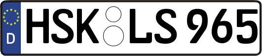 HSK-LS965
