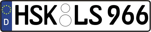 HSK-LS966