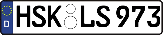 HSK-LS973