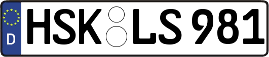 HSK-LS981
