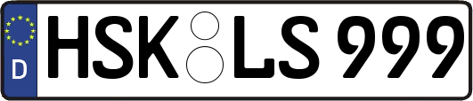 HSK-LS999