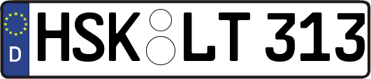HSK-LT313