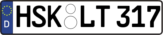 HSK-LT317