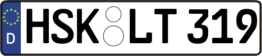 HSK-LT319