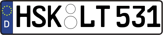 HSK-LT531