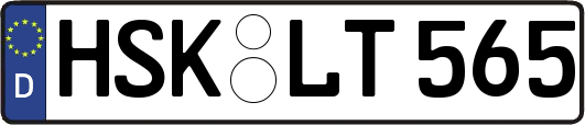 HSK-LT565