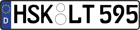 HSK-LT595