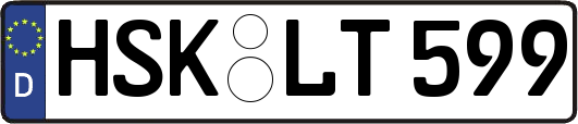 HSK-LT599