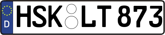HSK-LT873
