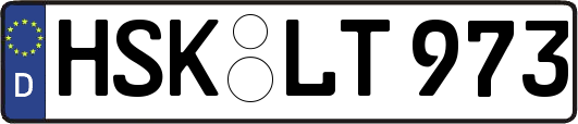 HSK-LT973