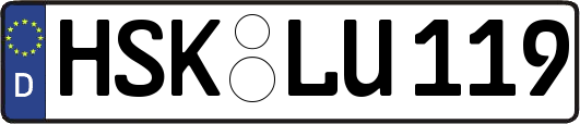 HSK-LU119