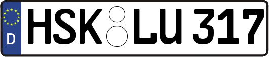 HSK-LU317