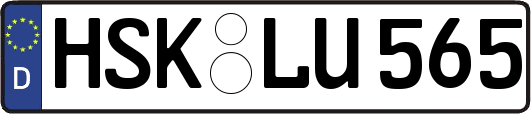 HSK-LU565