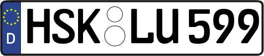 HSK-LU599