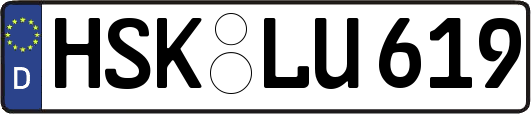 HSK-LU619