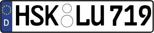 HSK-LU719