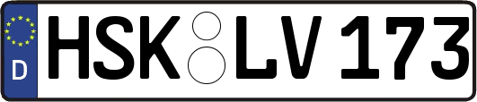 HSK-LV173