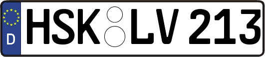 HSK-LV213