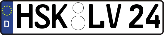 HSK-LV24