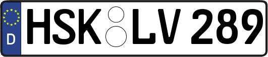 HSK-LV289