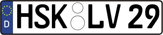 HSK-LV29