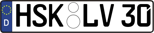 HSK-LV30
