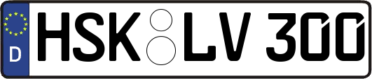 HSK-LV300