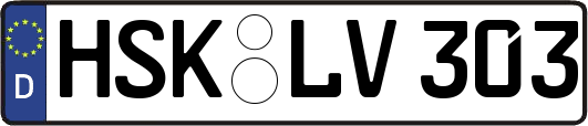 HSK-LV303