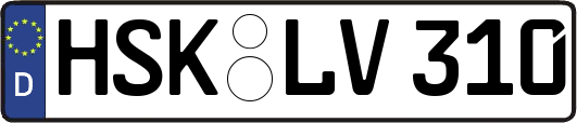 HSK-LV310