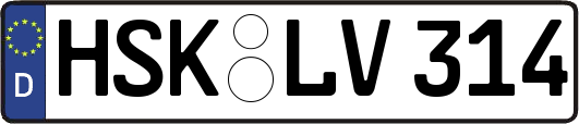 HSK-LV314