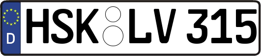 HSK-LV315