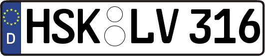 HSK-LV316