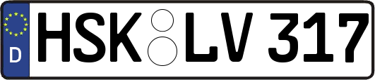 HSK-LV317